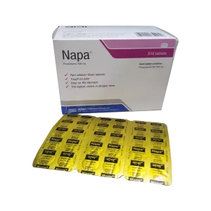 Napa 500 Image